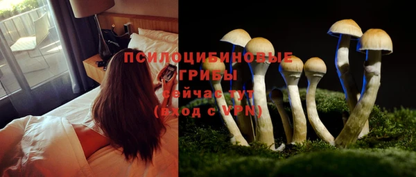 экстази Богородск