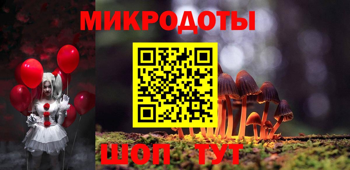 Галлюциногенные грибы Cubensis Пенза